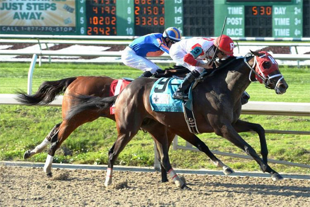 International Star, photo by Hodges Photography