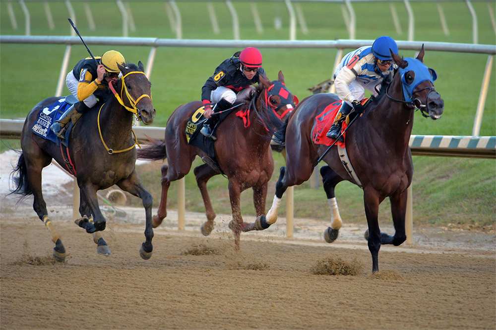 Saratoga Bob, photo by Karl Merton Ferron