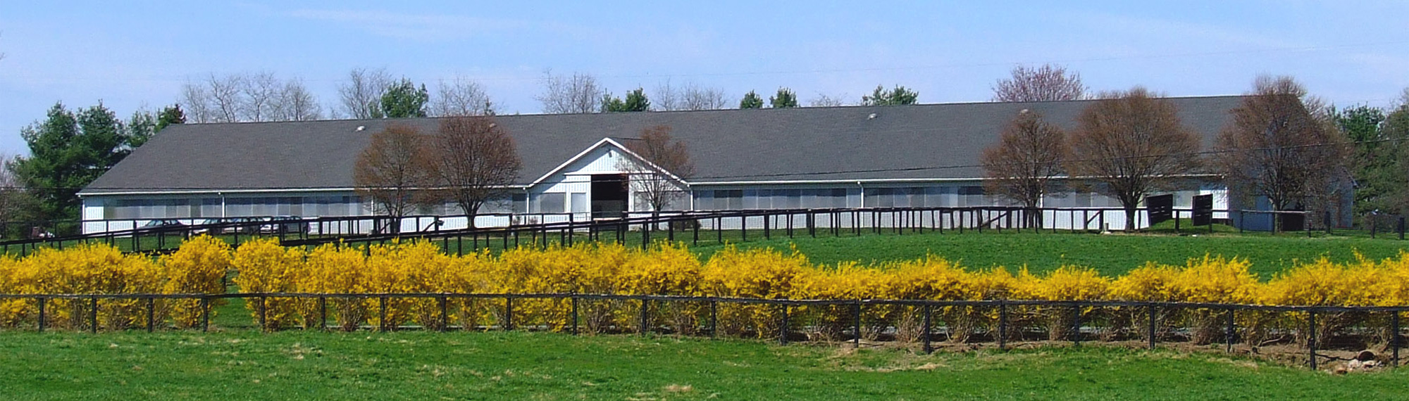 Chanceland Farm training barn